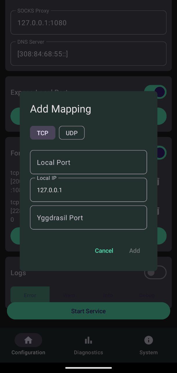 Экран Expose Local Port — настройка проброса локального сервиса