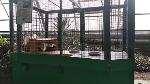 photo_236@30-10-2019_10-15-29.jpg