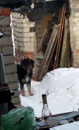 photo_24@01-02-2019_18-16-40.jpg